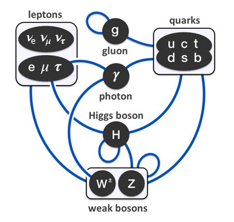 1 Particle Interactions As Described By Standard Model Download