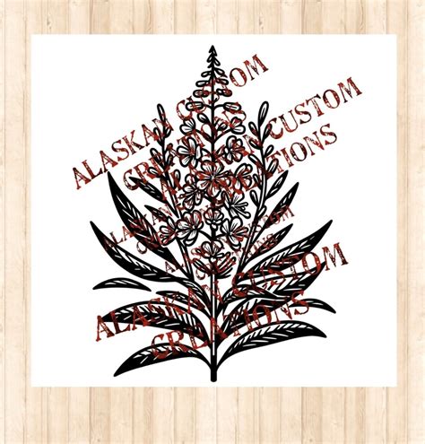 Alaskan Wildflower Fireweed Digital Image Laser Engraving Svgpngpdf