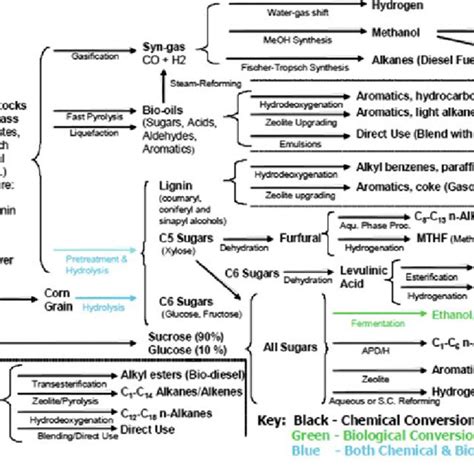 Different pathways to produce biofuels [6] | Download Scientific Diagram