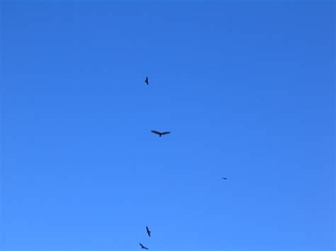 Cloud Tramp Flight – 4:25.44 – endlessLift