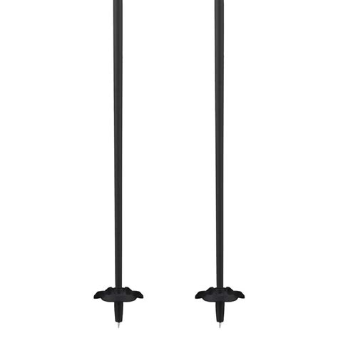 Salomon Slab Xalp Poles Black | Snowinn