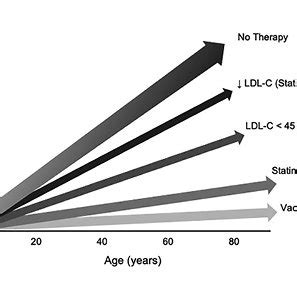 Coronary atherosclerosis: early treatment may prevent the clinical ...