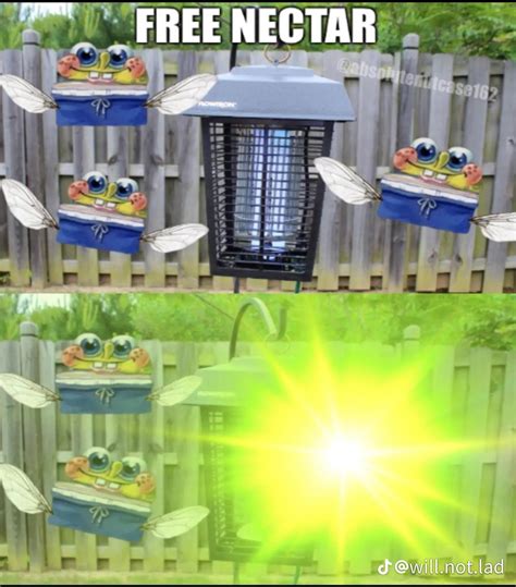 Got His Fucking Ass R Spunchbob