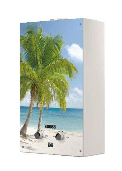 Колонка газовая Zanussi GWH 10 Fonte Glass Paradiso - купить с ...