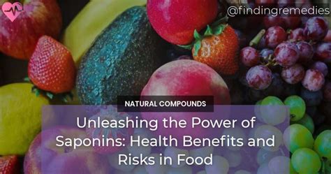 unleashing  power  saponins health benefits  saponins  risks