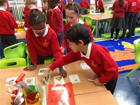 Year 3 Surviving The Stone Age Daubeney Primary School