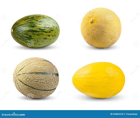 Collection Cantaloupe Melon Fruit Isolated On The White Background
