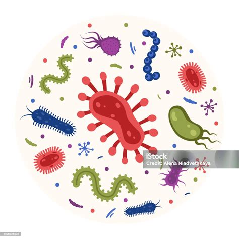 bakteri  berbeda mikroorganisme patogen  lingkaran bakteri