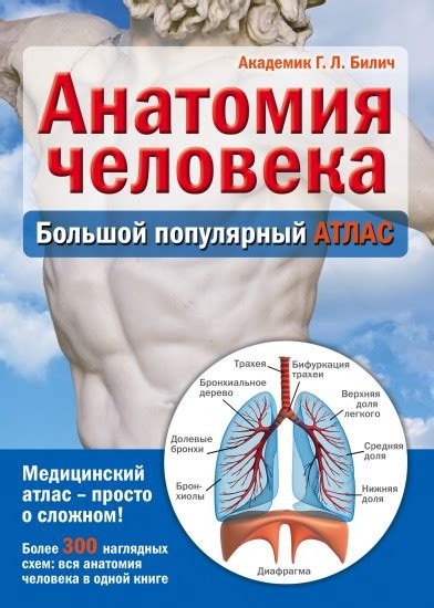Анатомия Человека Учебник Колесников - homepageprecept