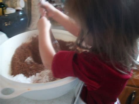 31 Cups Hot Cocoa Mix Recipe