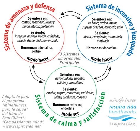 Tres Sistemas De Regulaci N Emocional Respira Vida