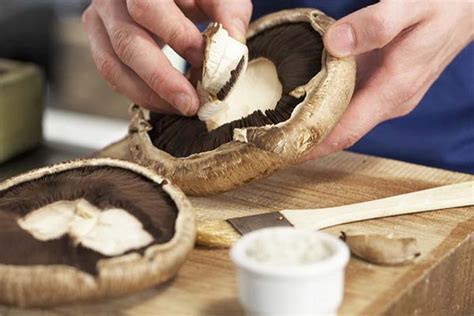 Грибы портобелло: как выглядят, где растут, польза и вред