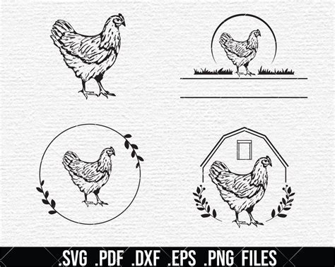 Chicken Egg Farm Svg Hen Silhouette Organic Egg Farmhouse Chicken Barn