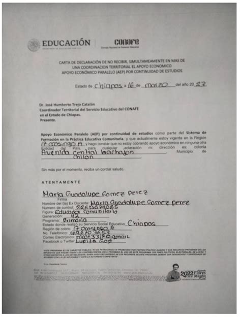 Carta De Declaracion De No Recibir Pdf