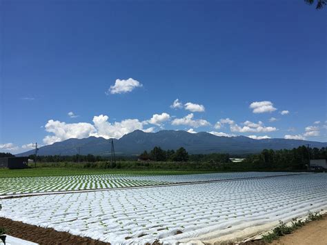 field mountain natural  photo  pixabay pixabay