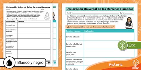 Guía De Trabajo Declaración Universal De Derechos Humanos