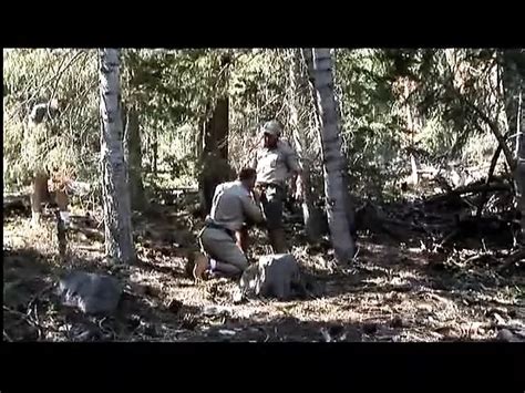 Free The Cabin Gay Porn Videos Xhamster