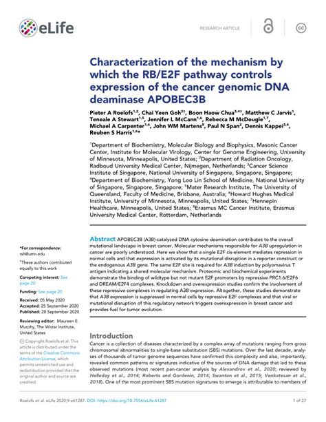 Pdf Characterization Of The Mechanism By Which The Rb E F Pathway