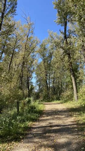 Best City Walk Trails In Sherwood Park Alltrails