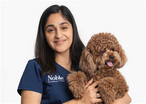 are pothos plants toxic to cats 2