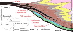 categoryshale formations   united states wikimedia commons