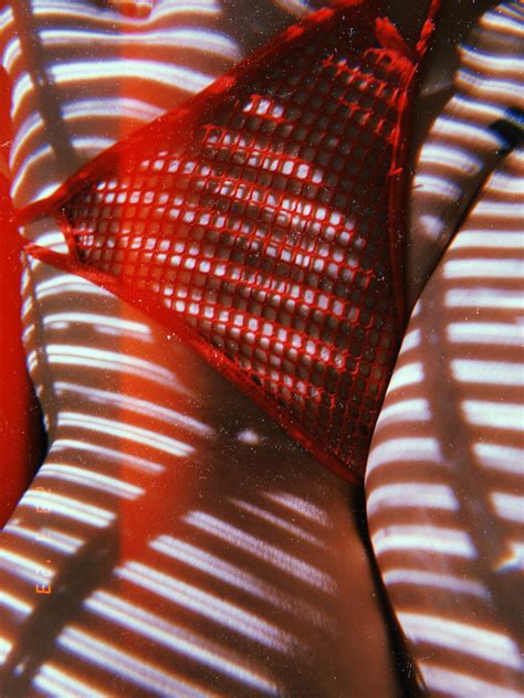 Mala Rodriguez Malarodriguez Nude Onlyfans Leaks Photos Thefappening