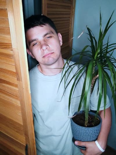 Александр Свиридов | Поиск информации