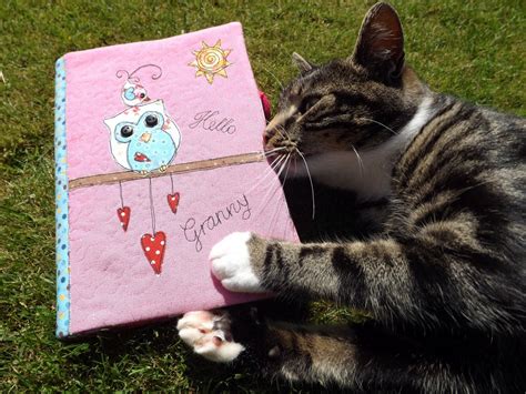 Sewforsoul The Owl And The Pussy Cat