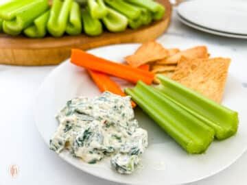 Knorr Spinach Dip Recipe - The Feathered Nester
