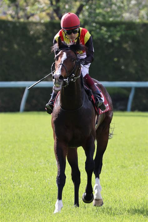 【注目馬動向】アルジャンナはエプソムcへ 池江泰寿調教師「色々課題を指摘してもらった」 Umatoku 馬トク