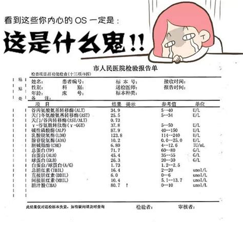 三分钟教你看懂肝功能检查报告 搜狐