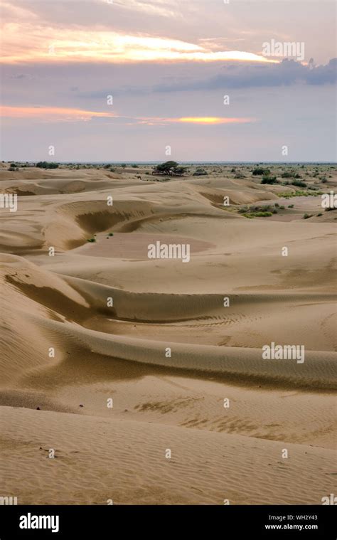 Sunset In Thar Desert In Rajasthan In India Stock Photo Alamy