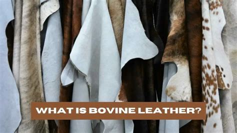 What Is Bovine Leather Types Of Bovine Leather