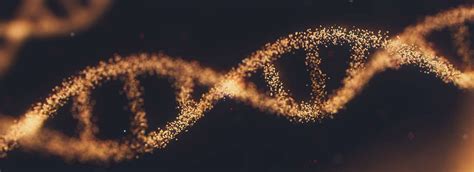 genetically modified organisms policies procedures guidance rgu