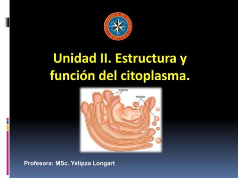 Unidad 2 Estructura Y Función Del Citoplasma Ppt