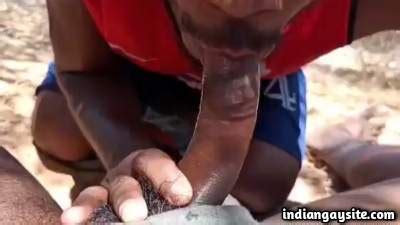 Public Oral Fun With A Horny Wild Stranger Indian Gay Site