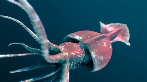 colossal squid fictionrulezforever wiki fandom