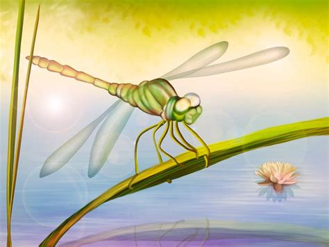 Стрекоза рисунок для детей поэтапно