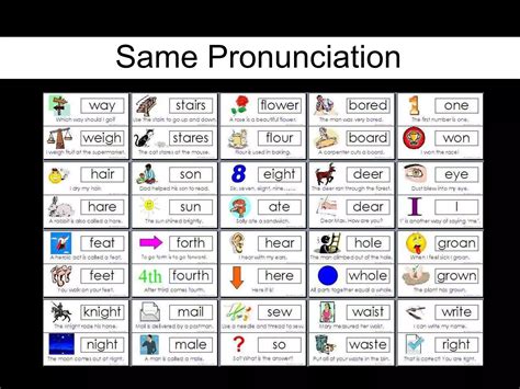 Homonyms And Homophones 4