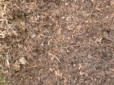 soil compost