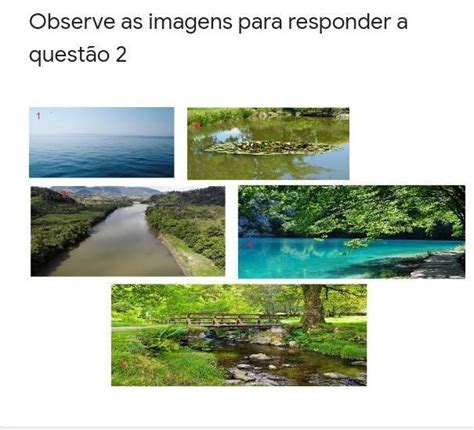 Observe A Imagem Para Responder À Questão - Observe as imagens para responder a questão 2 - Write the names these ...