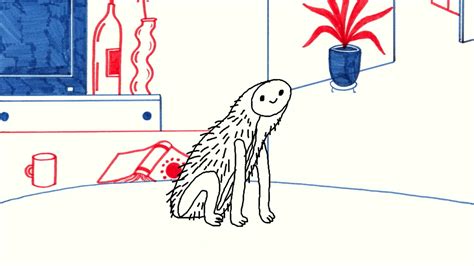 Pussy Directors Notes