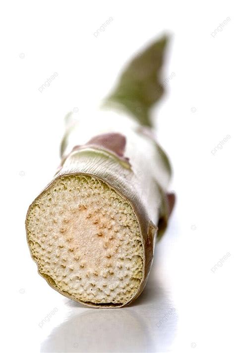 life photography  shadow side photo background  picture