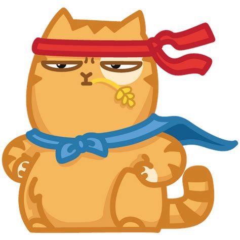 Котик персик - картинки и фото koshka.top