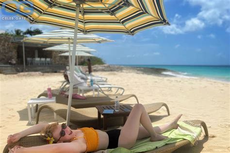 Molly Quinn Nude Pictures Photos Playboy Naked Topless Fappening