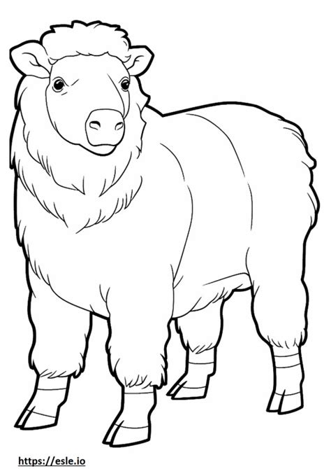 Angora Goat coloring pages - free printable