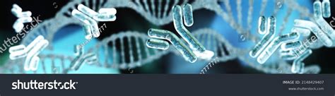 globular protein images stock  vectors shutterstock