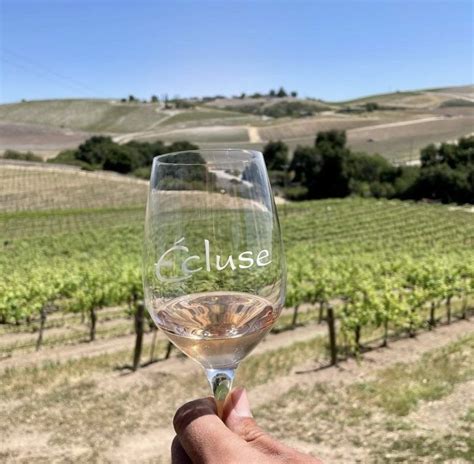 5 Paso Wine Tasting Rooms Giving Us Summer Vibes Paso Robles Wineries