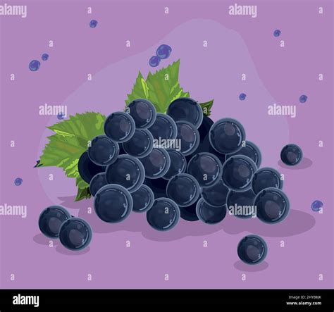 realistic grapes card Stock Vector Image & Art - Alamy