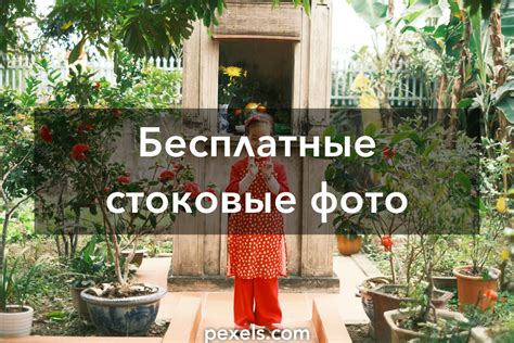 Лучшие фото (100 000+) по запросу «Девушка С Компьютером» · Скачивайте ...
